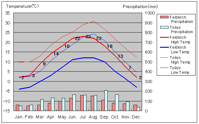 Feldkirch Temperature Graph