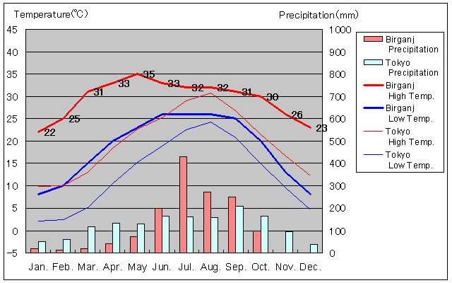 Birganj Temperature Graph