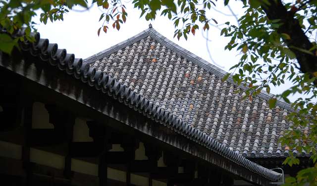 Gango-ji Temple Gokurakubo