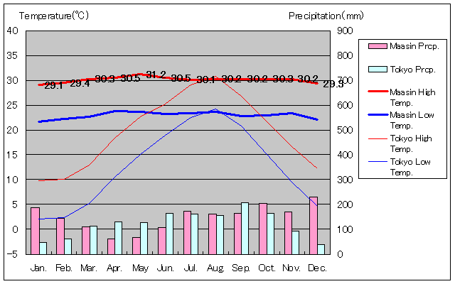 マアシン気温、一年を通した月別気温グラフ
