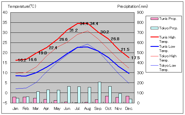 チュニス気温、一年を通した月別気温グラフ