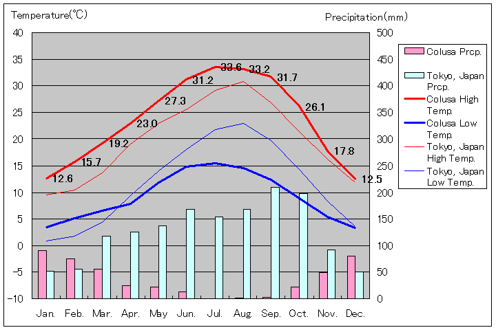 コルサ気温、一年を通した月別気温グラフ