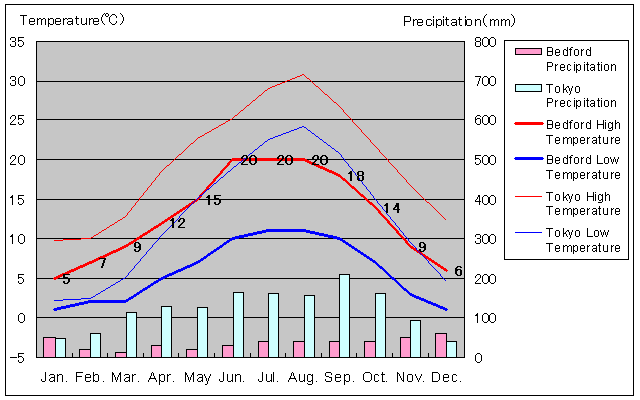 Bedford Temperature Graph