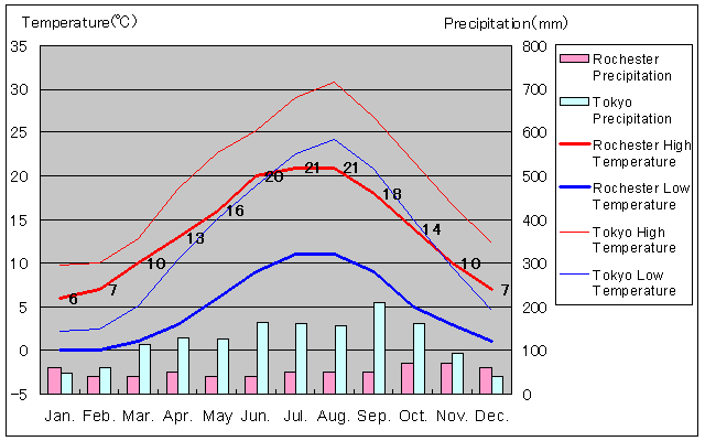 Rochester Temperature Graph