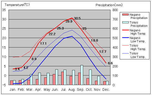 Nagano Temperature Graph