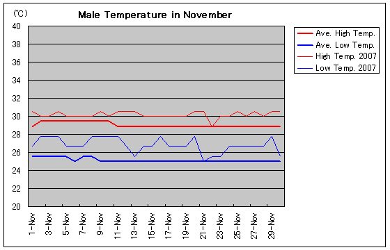 }[2007N11̋C