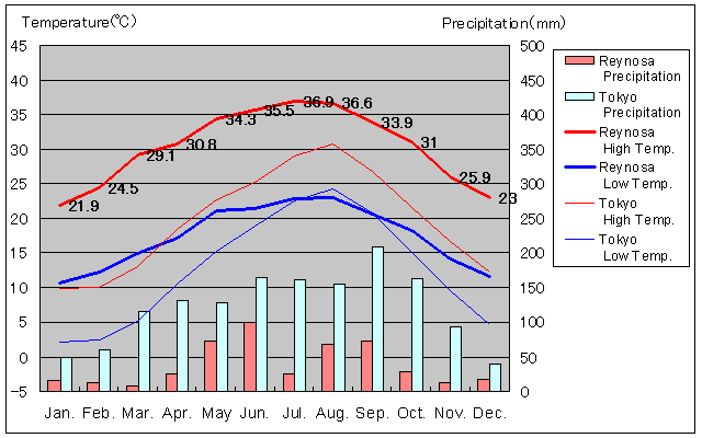 Reynosa Temperature Graph