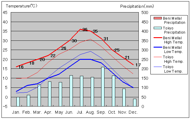 Beni Mellal Temperature Graph