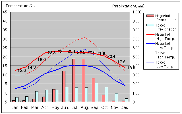 Nagarkot Temperature Graph