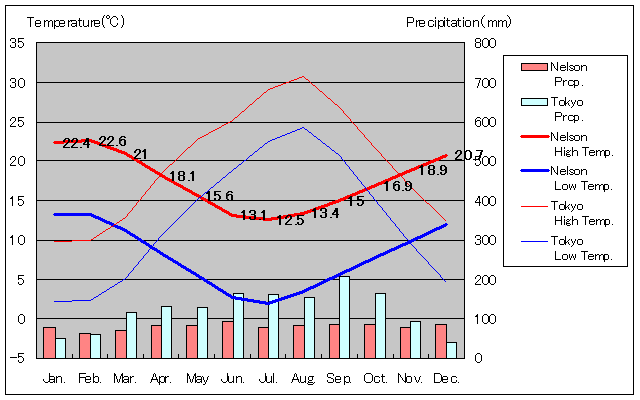 Nelson Temperature Graph