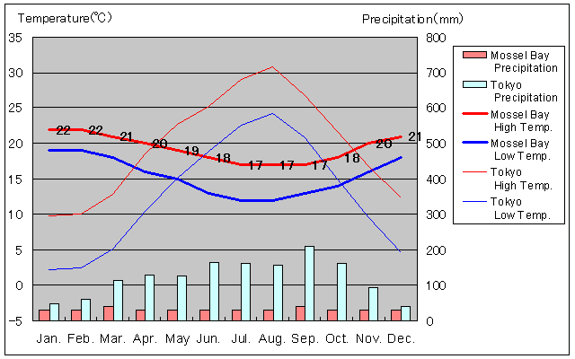 Mossel Bay Temperature Graph