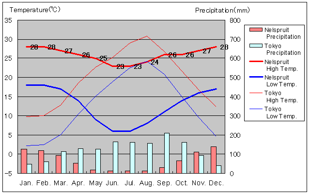 Nelspruit Temperature Graph