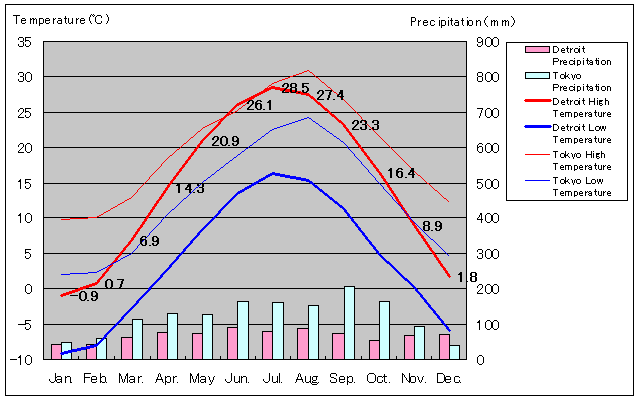 Detroit Temperature Graph