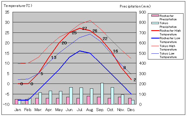 Rochester Temperature Graph