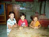Apo q