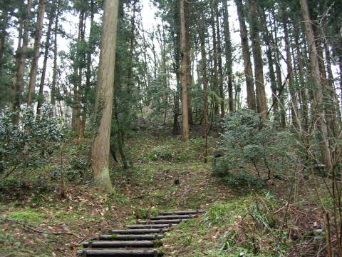 伝 長慶天皇御陵