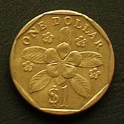 シンガポール 1ドル コイン 表面
