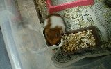 食事3