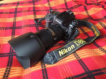 D800とAF-S NIKKOR 24-70mm f/2.8G ED