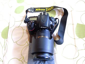 D800とAF-S NIKKOR 24-70mm f/2.8G ED