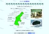 観光
