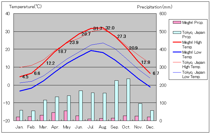 メグリ気温、一年を通した月別気温グラフ