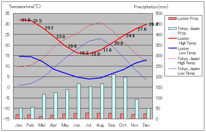 NXgCANʂʋCOt