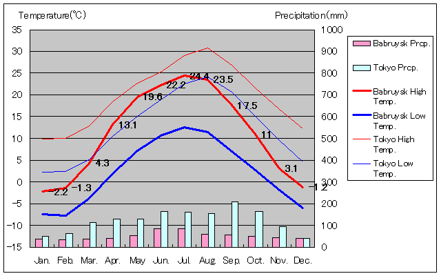 バブルイスク気温