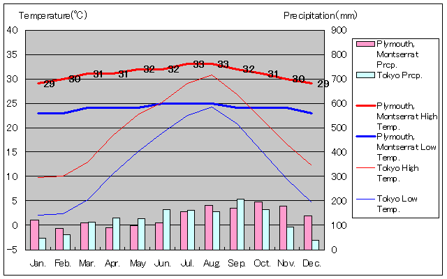 gZgv}XCANʂʋCOt