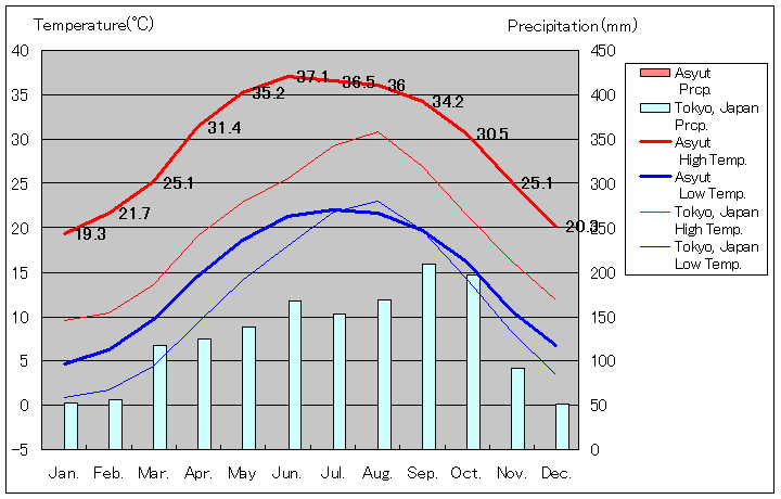 アシュート気温、一年を通した月別気温グラフ
