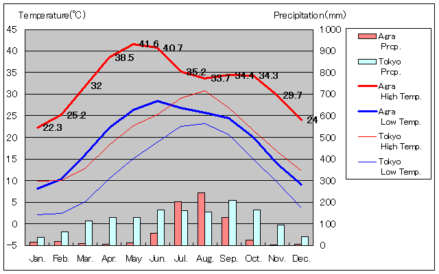 Agra Temperature Graph