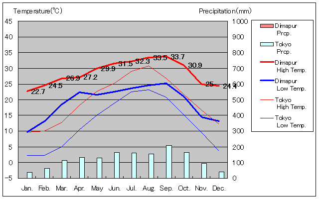 ディマプル気温、一年を通した月別気温グラフ