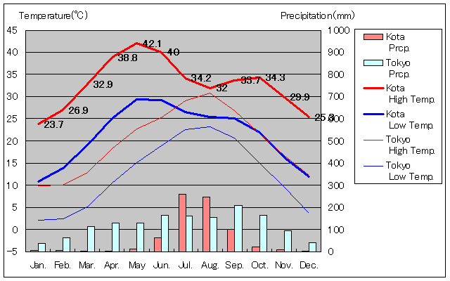 コーター気温、一年を通した月別気温グラフ