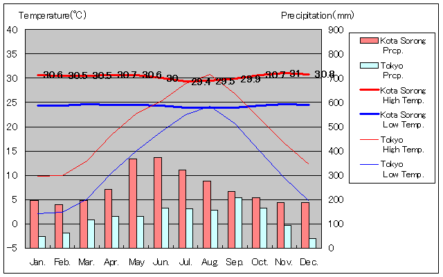 コタ・ソロン気温、一年を通した月別気温グラフ