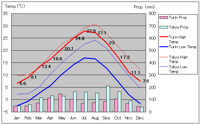 Turin Temperature Graph
