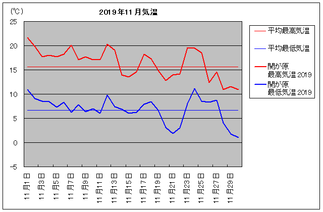 2019NAւ 11C