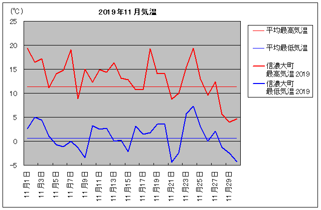 2019NAMZ咬i咬sj 11C