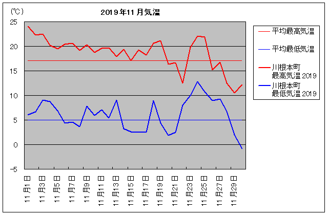 2019NA썪{ 11C