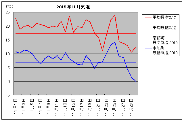 2019NA암 11C