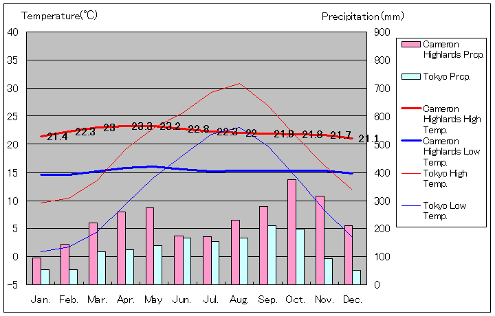 キャメロン・ハイランド気温、一年を通した月別気温グラフ