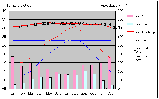 シブ気温、一年を通した月別気温グラフ