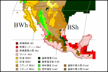 メキシコ空港地図