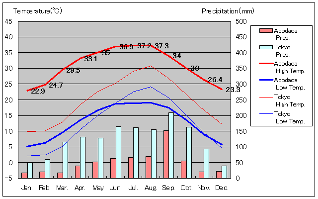 アポダカ気温、一年を通した月別気温グラフ