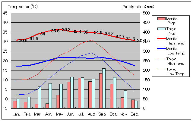 メリダ気温、一年を通した月別気温グラフ