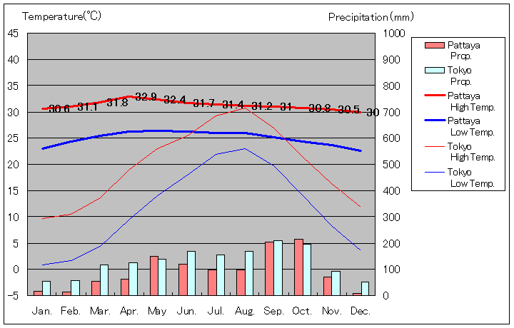 Pattaya Temperature Graph