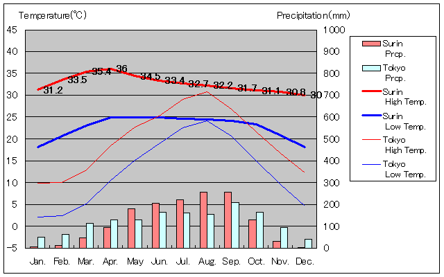 Surin Temperature Graph