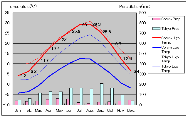 チョルム気温、一年を通した月別気温グラフ