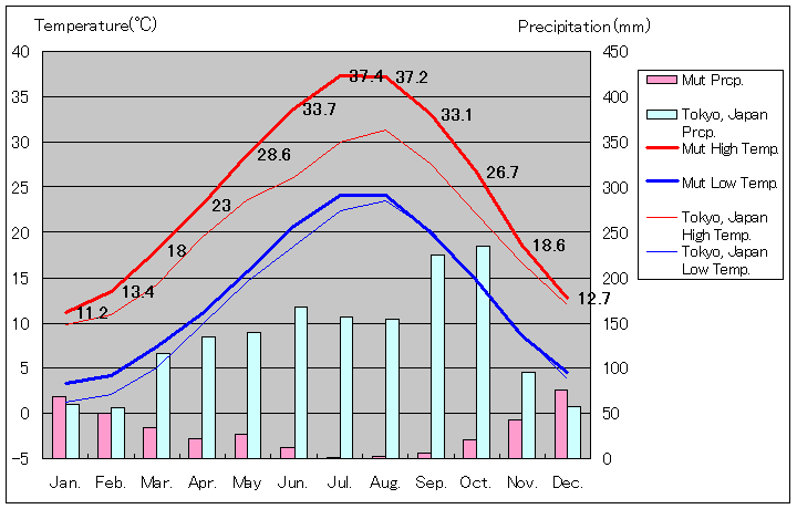 ムト気温、一年を通した月別気温グラフ