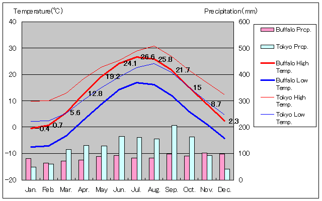 バッファロー気温、一年を通した月別気温グラフ