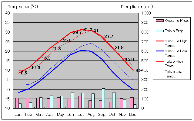 ノックスビル気温、一年を通した月別気温グラフ